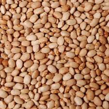 Oloyin Beans (Derica)